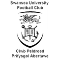 Swansea University