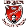 Escudo Coatepecano IB