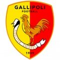 Gallipoli 