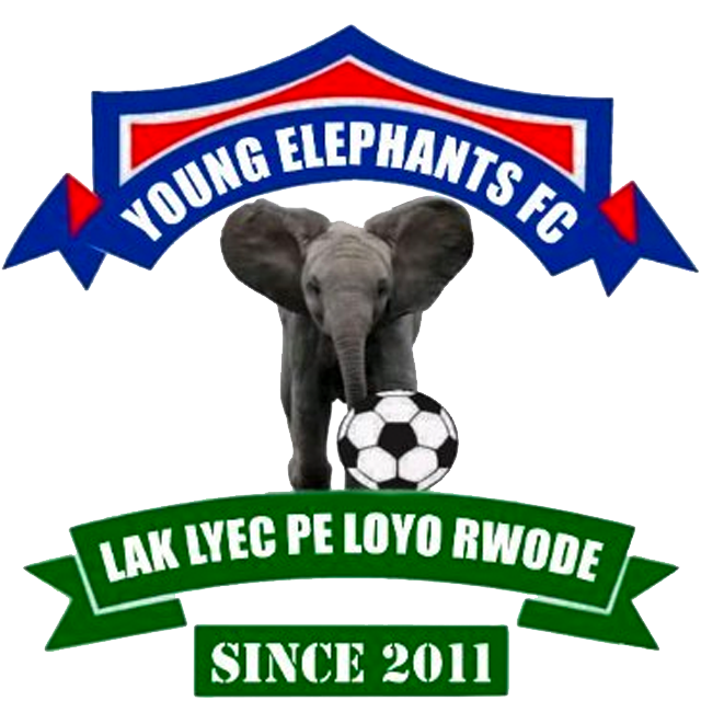 Young Elephants