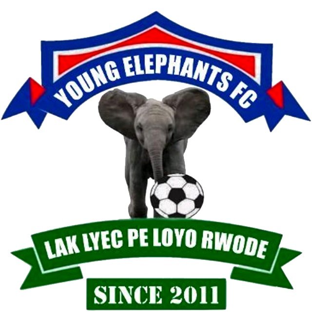Young Elephants