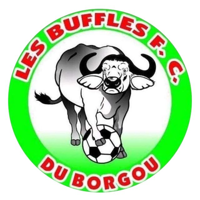 Buffles de Borgou