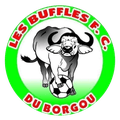 Buffles de Borgou