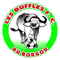 Buffles de Borgou