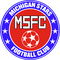 Michigan Stars