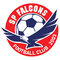 SP Falcons