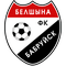 Belshina Bobruisk II