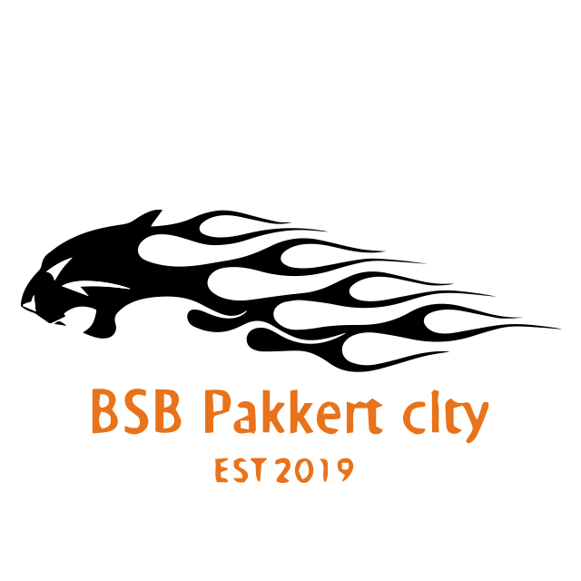 BSB Pakkert City