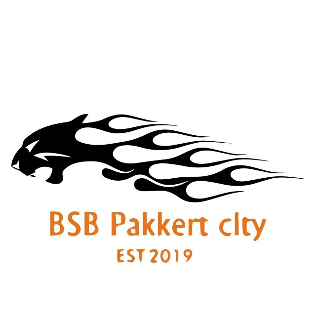 BSB Pakkert City