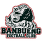 Escudo Banbueng