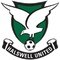 Halswell United FC