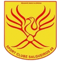 Salgueiros 08