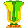 Atlético Palmaflor