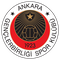 Gençlerbirliği SK