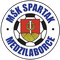 Spartak Medzilaborce