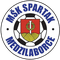 Spartak Medzilaborce