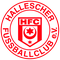 Hallescher FC U17