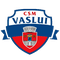 Escudo CSM FC Vaslui