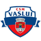 CSM FC Vaslui