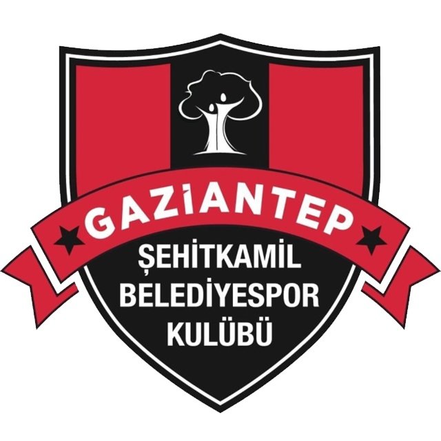 Şehitkamil Belediyespor