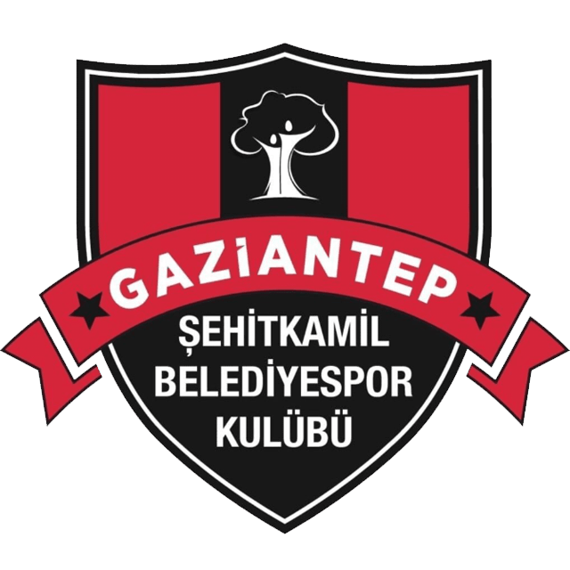 Şehitkamil Belediyespor