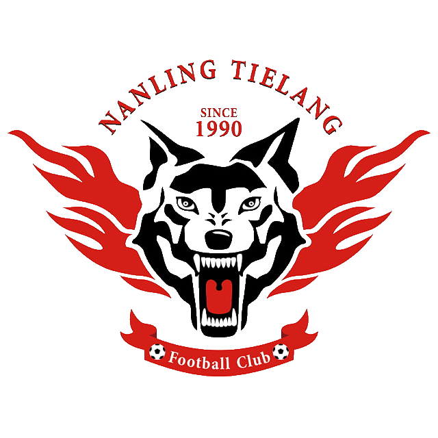 Shenzen Nanling Tielang