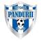 Viitorul Târgu Jiu