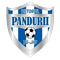 Viitorul Târgu Jiu