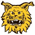 Escudo del Ilves