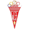 guadix club de fútbol