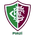 Fluminense PI U20