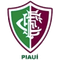 Fluminense PI U20