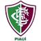 Fluminense PI Sub 20