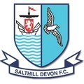 Escudo del Salthill Devon