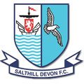 Salthill Devon