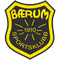 Escudo Bærum