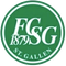 Escudo St. Gallen II