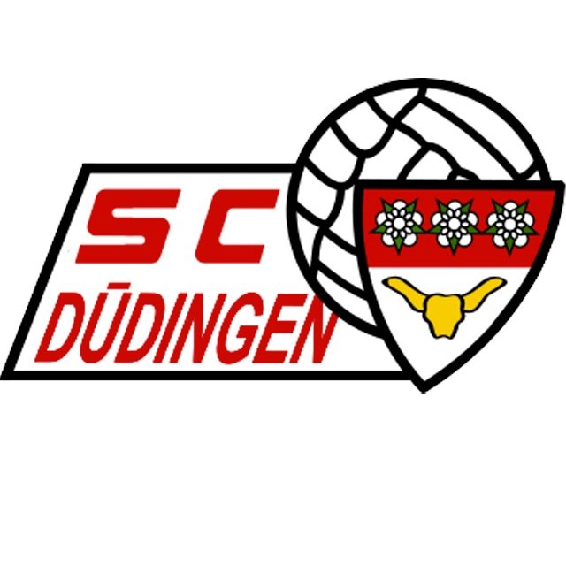 Dudingen