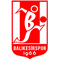 Balikesirspor