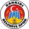 Canakkale Dardanelspor
