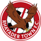 Rhayader Town FC
