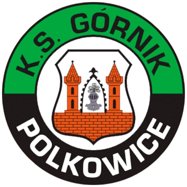 Gornik Polkowice