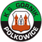 Gornik Polkowice