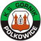 Gornik Polkowice