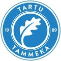 Escudo del Tammeka II