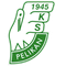 Pelikan Lowicz