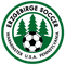 Escudo Vereinigung Erzgebirge