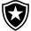 Botafogo U17