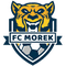 Mork