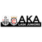 LASK Juniors U16
